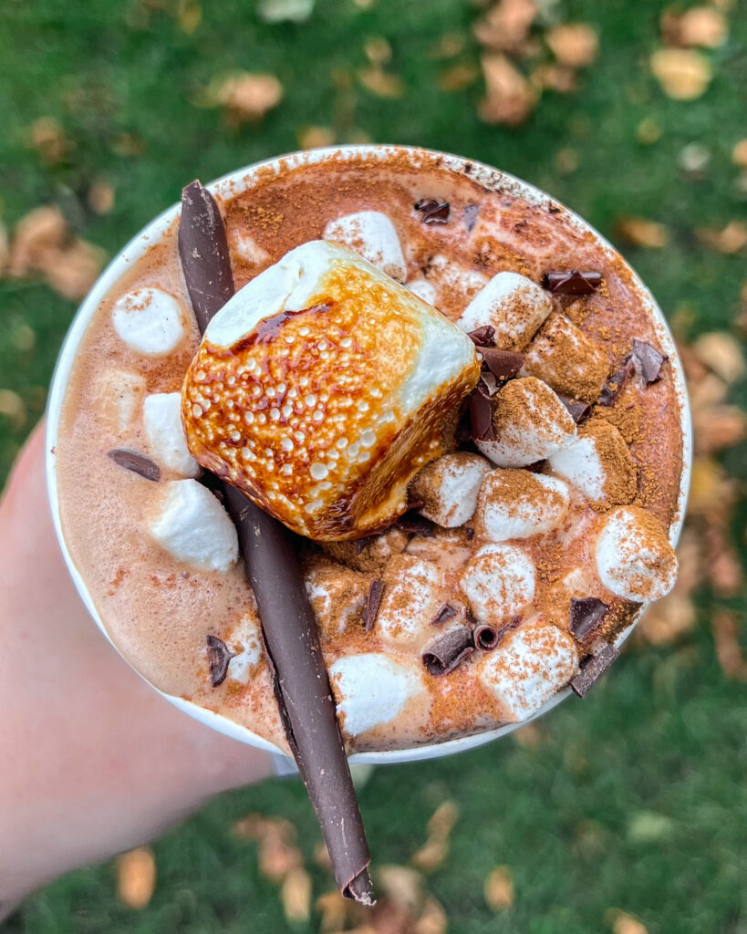 Hot chocolate topped with a handful of small marshmallows, a larger toasted marshmallow, as well as a chocolate garnish and a dusting of cinnamon