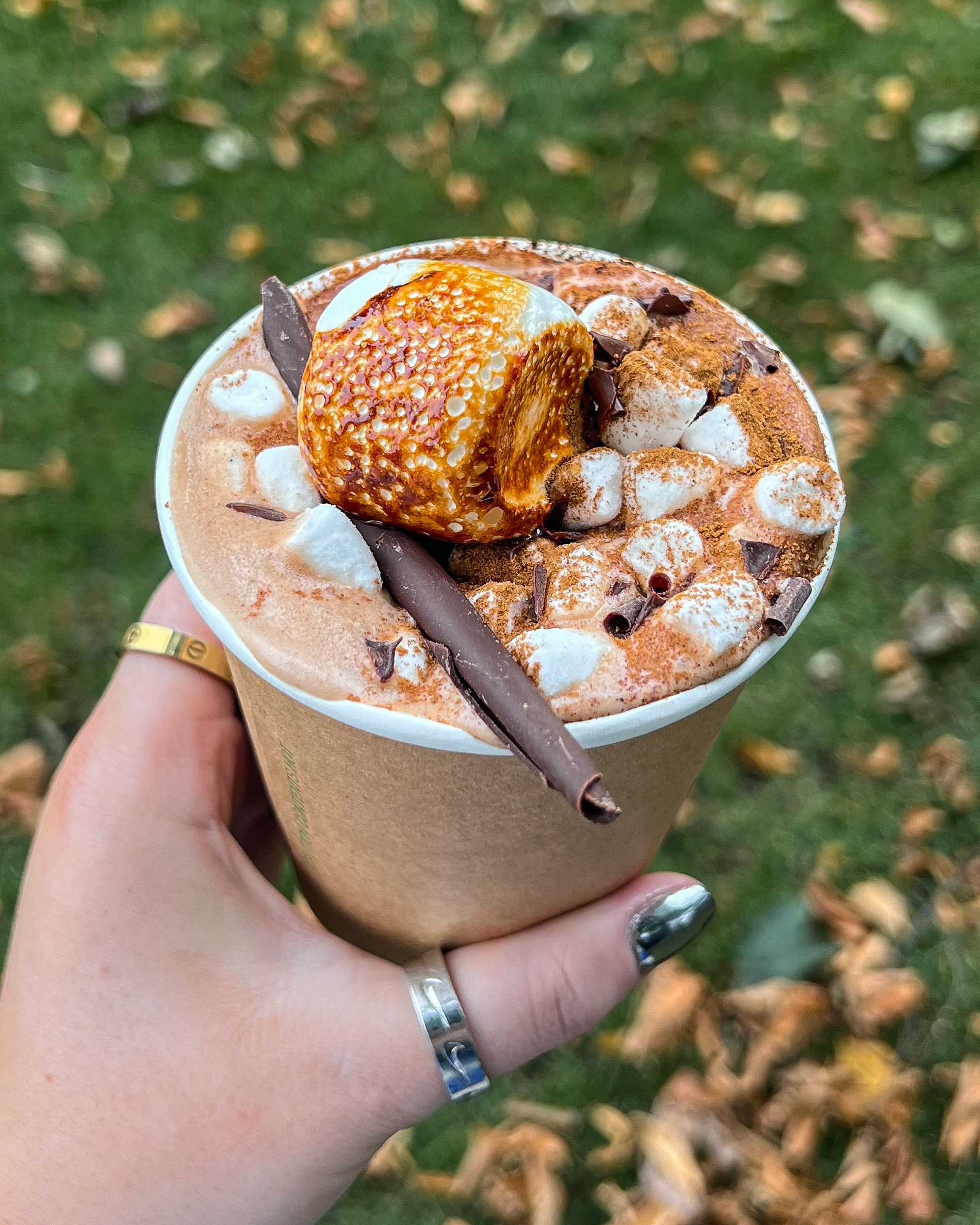 Hot chocolate topped with a handful of small marshmallows, a larger toasted marshmallow, as well as a chocolate garnish and a dusting of cinnamon