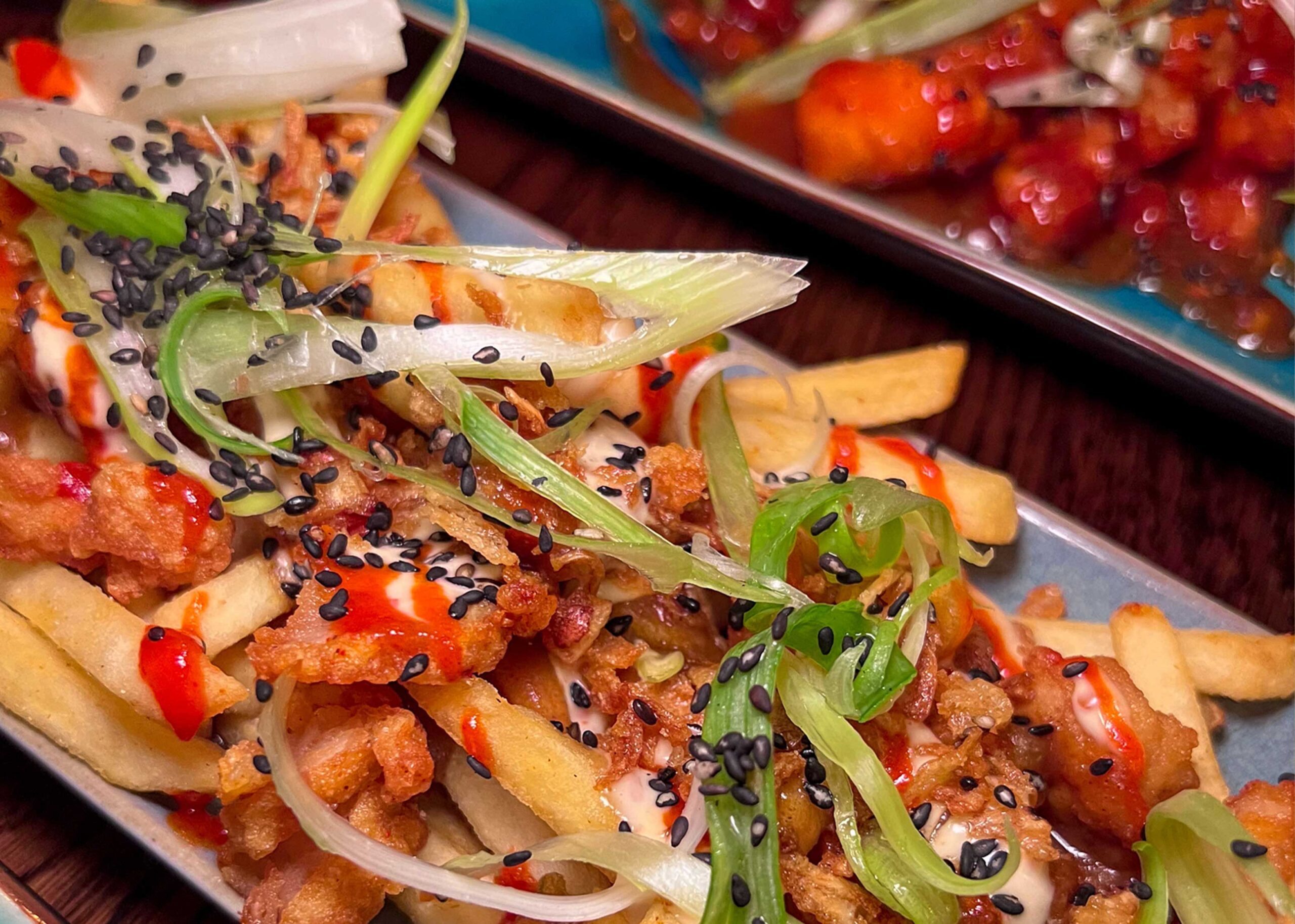 Up-close image of loaded fries topped with chicken, spring onion and black sesame seeds